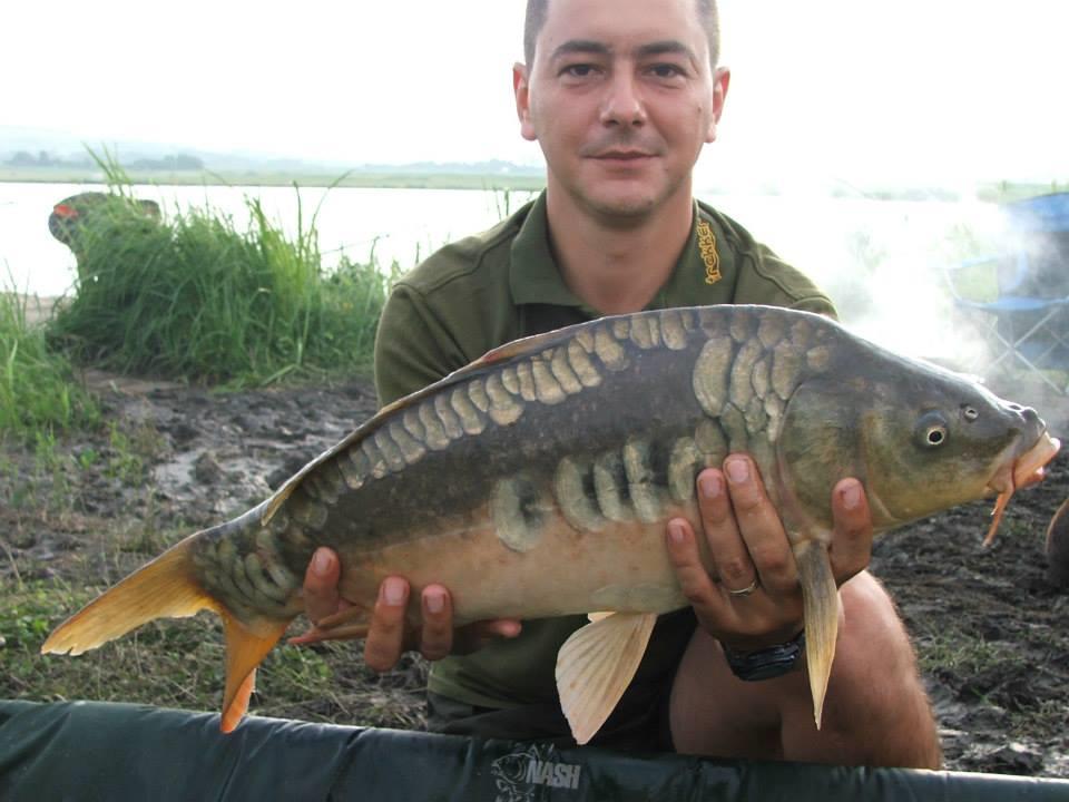 Lates iunie 2013 - 9358245931969807475071239065272n.jpg